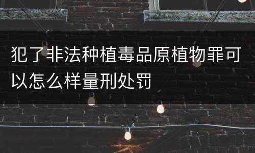 犯了非法种植毒品原植物罪可以怎么样量刑处罚
