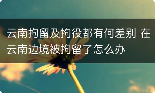 云南拘留及拘役都有何差别 在云南边境被拘留了怎么办