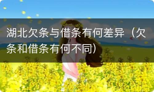 湖北欠条与借条有何差异（欠条和借条有何不同）