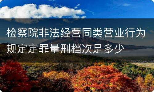 检察院非法经营同类营业行为规定定罪量刑档次是多少