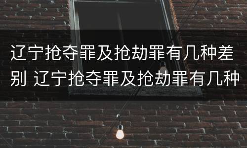 辽宁抢夺罪及抢劫罪有几种差别 辽宁抢夺罪及抢劫罪有几种差别