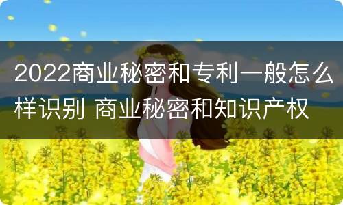 2022商业秘密和专利一般怎么样识别 商业秘密和知识产权