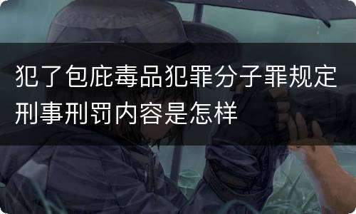 犯了包庇毒品犯罪分子罪规定刑事刑罚内容是怎样