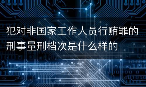 犯对非国家工作人员行贿罪的刑事量刑档次是什么样的