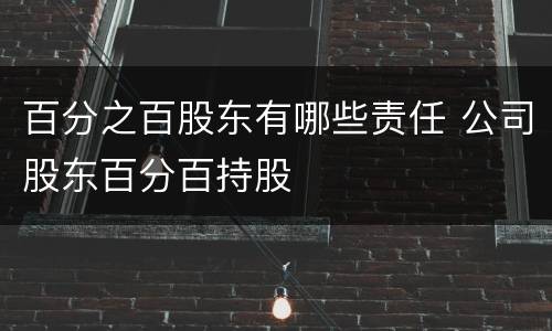 百分之百股东有哪些责任 公司股东百分百持股