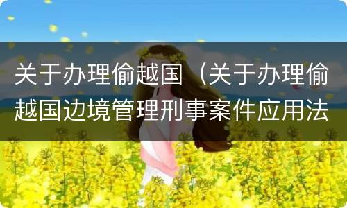 关于办理偷越国（关于办理偷越国边境管理刑事案件应用法律）