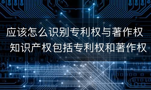应该怎么识别专利权与著作权 知识产权包括专利权和著作权吗