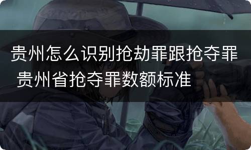 贵州怎么识别抢劫罪跟抢夺罪 贵州省抢夺罪数额标准