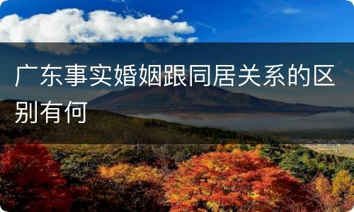 广东事实婚姻跟同居关系的区别有何