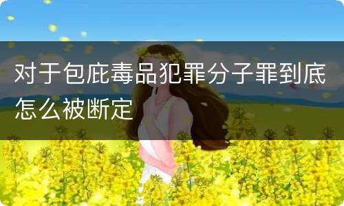 对于包庇毒品犯罪分子罪到底怎么被断定
