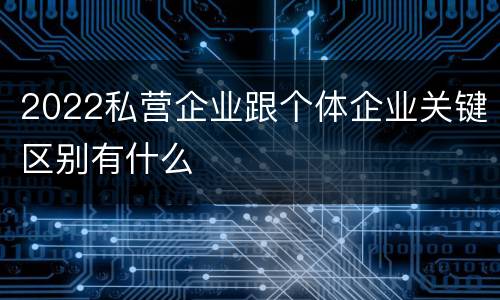 2022私营企业跟个体企业关键区别有什么