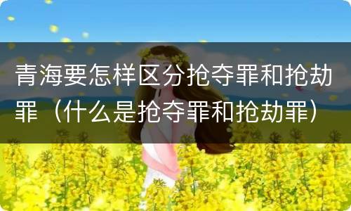 青海要怎样区分抢夺罪和抢劫罪（什么是抢夺罪和抢劫罪）