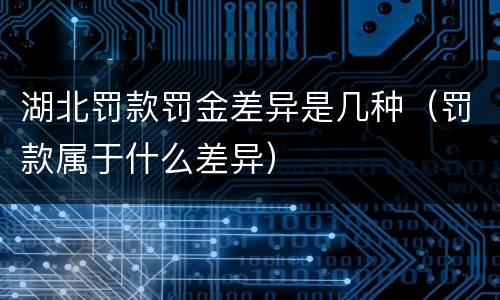 湖北罚款罚金差异是几种（罚款属于什么差异）