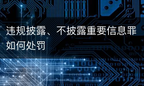 违规披露、不披露重要信息罪如何处罚