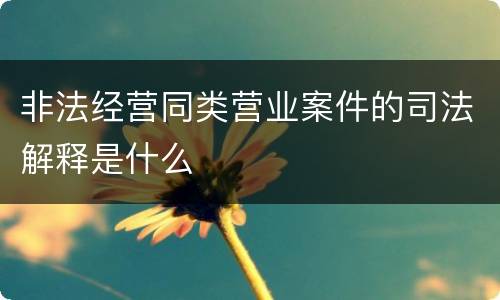 非法经营同类营业案件的司法解释是什么