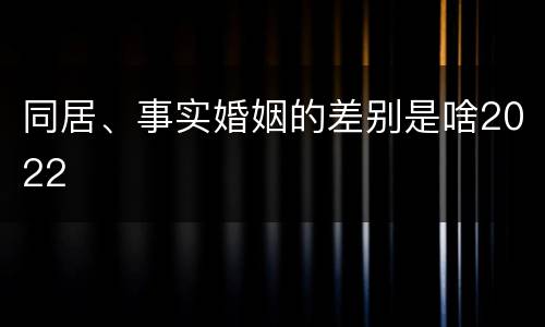 同居、事实婚姻的差别是啥2022