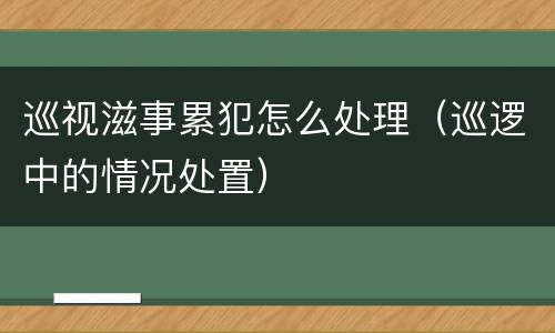巡视滋事累犯怎么处理（巡逻中的情况处置）
