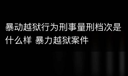 暴动越狱行为刑事量刑档次是什么样 暴力越狱案件