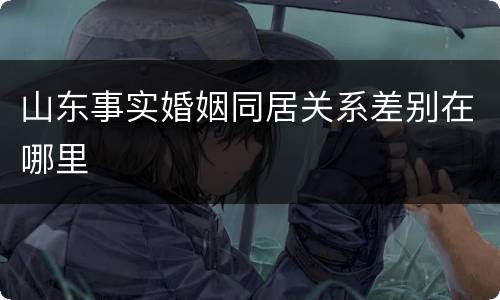 山东事实婚姻同居关系差别在哪里