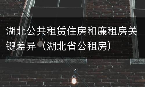 湖北公共租赁住房和廉租房关键差异（湖北省公租房）