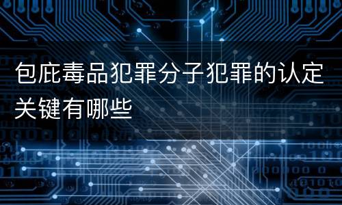 包庇毒品犯罪分子犯罪的认定关键有哪些