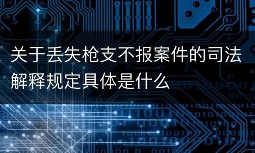 关于丢失枪支不报案件的司法解释规定具体是什么