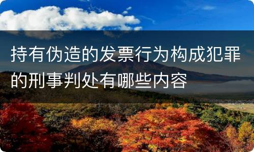 持有伪造的发票行为构成犯罪的刑事判处有哪些内容