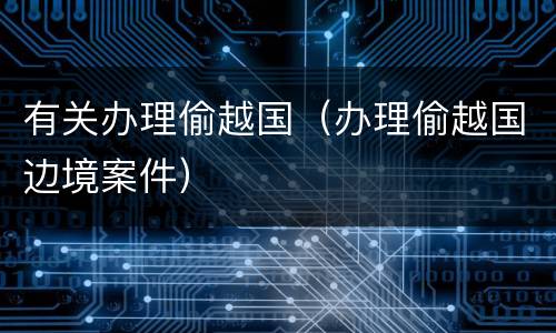 有关办理偷越国（办理偷越国边境案件）