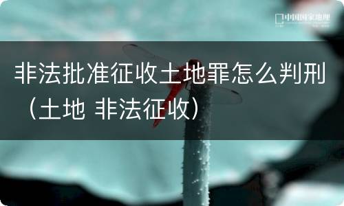 非法批准征收土地罪怎么判刑（土地 非法征收）
