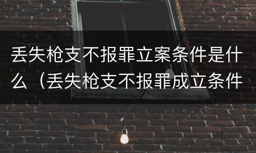 丢失枪支不报罪立案条件是什么（丢失枪支不报罪成立条件）