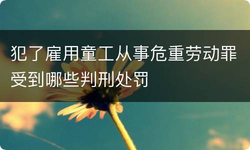 犯了雇用童工从事危重劳动罪受到哪些判刑处罚