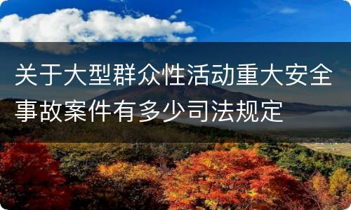 关于大型群众性活动重大安全事故案件有多少司法规定