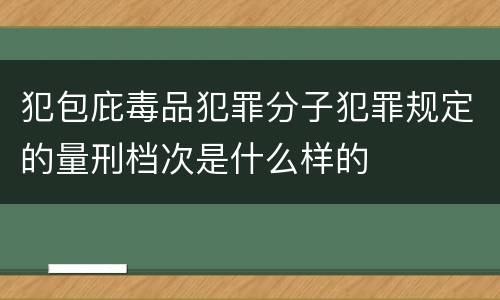 犯包庇毒品犯罪分子犯罪规定的量刑档次是什么样的