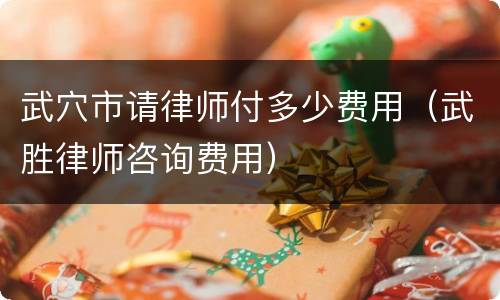 武穴市请律师付多少费用（武胜律师咨询费用）