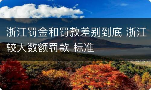浙江罚金和罚款差别到底 浙江较大数额罚款 标准