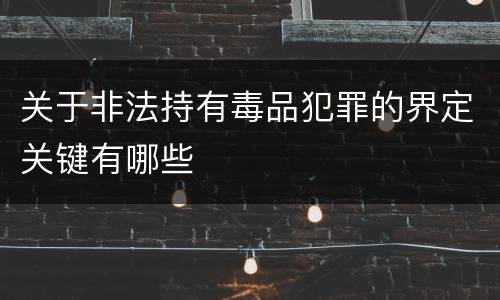 关于非法持有毒品犯罪的界定关键有哪些