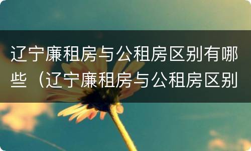 辽宁廉租房与公租房区别有哪些（辽宁廉租房与公租房区别有哪些地方）