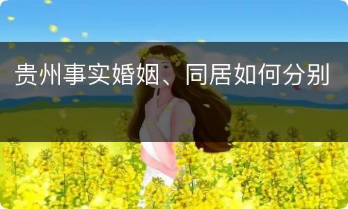 贵州事实婚姻、同居如何分别