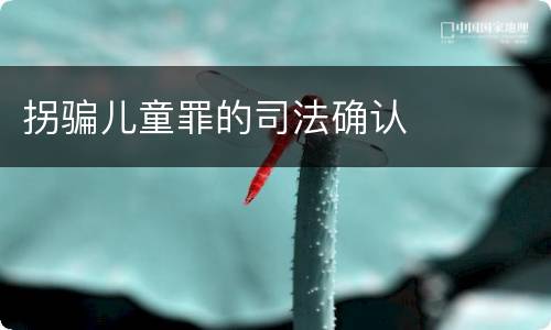 拐骗儿童罪的司法确认