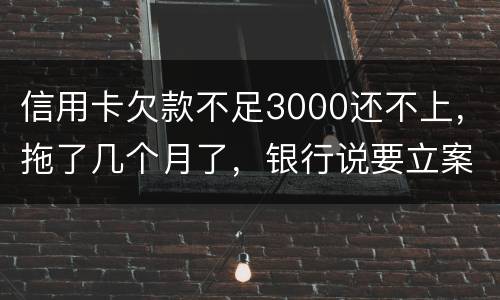 信用卡欠款不足3000还不上，拖了几个月了，银行说要立案，会坐牢吗