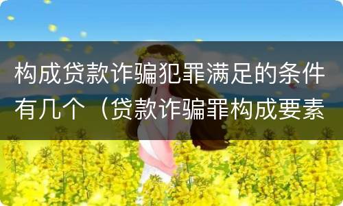 构成贷款诈骗犯罪满足的条件有几个（贷款诈骗罪构成要素）