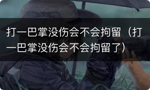 打一巴掌没伤会不会拘留（打一巴掌没伤会不会拘留了）