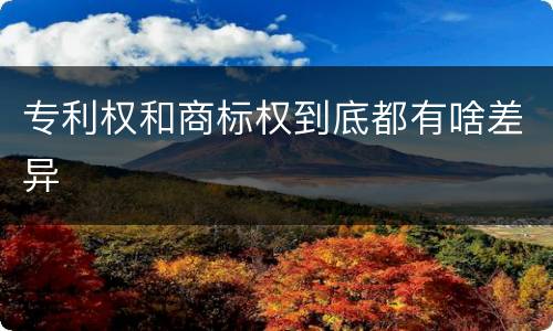 专利权和商标权到底都有啥差异