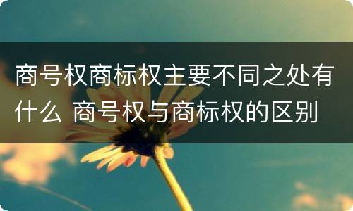 商号权商标权主要不同之处有什么 商号权与商标权的区别
