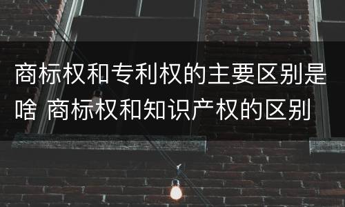 商标权和专利权的主要区别是啥 商标权和知识产权的区别