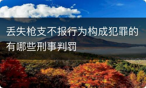 丢失枪支不报行为构成犯罪的有哪些刑事判罚