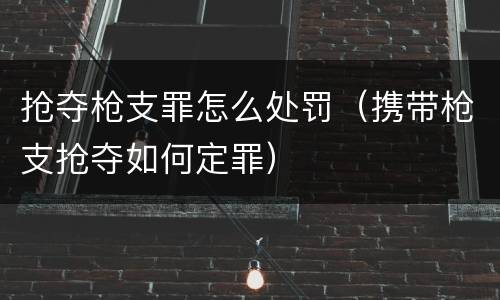 抢夺枪支罪怎么处罚（携带枪支抢夺如何定罪）