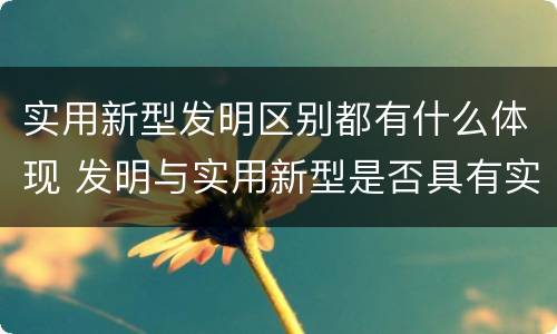 实用新型发明区别都有什么体现 发明与实用新型是否具有实用性
