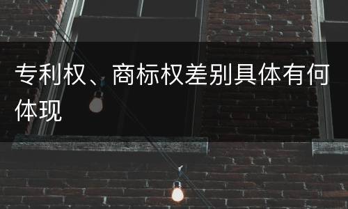 专利权、商标权差别具体有何体现