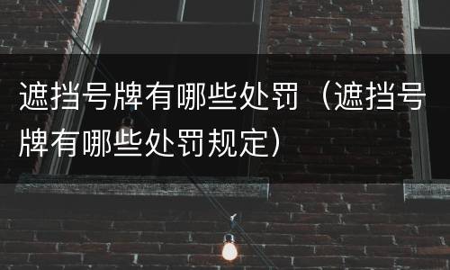 遮挡号牌有哪些处罚（遮挡号牌有哪些处罚规定）